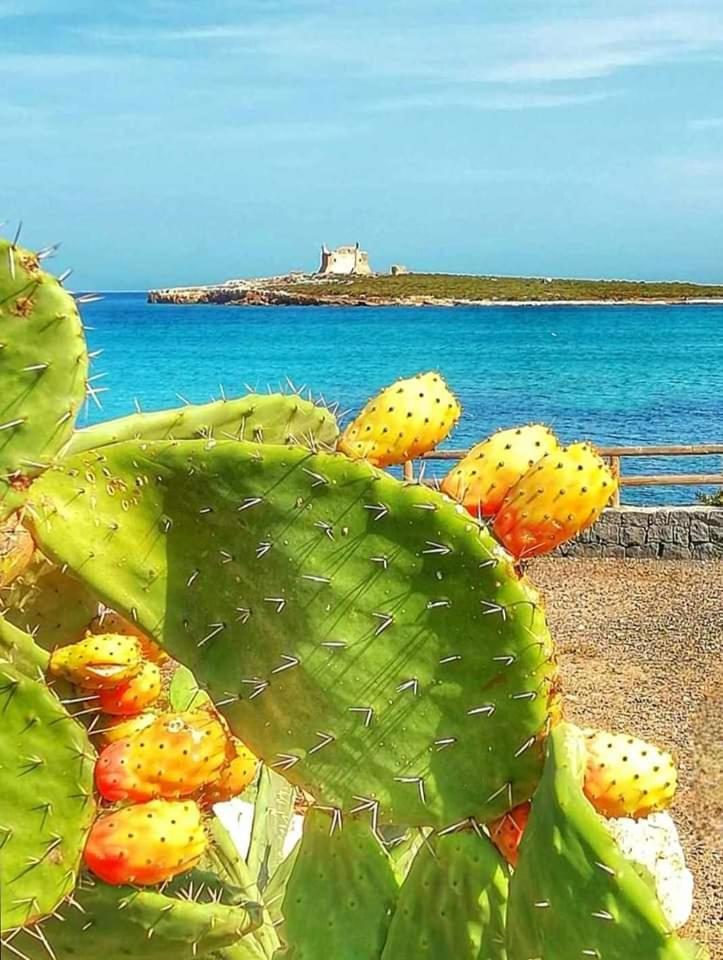 Casa Guttuso 1 Villa Portopalo Di Capo Passero Bagian luar foto